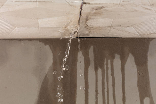 Professional Water Extraction technician working in Counce, TN